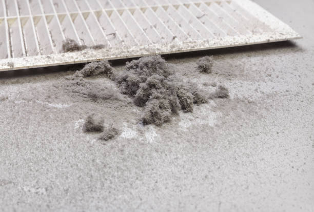 Best Commercial HVAC Duct Cleaning  in Petal, MS