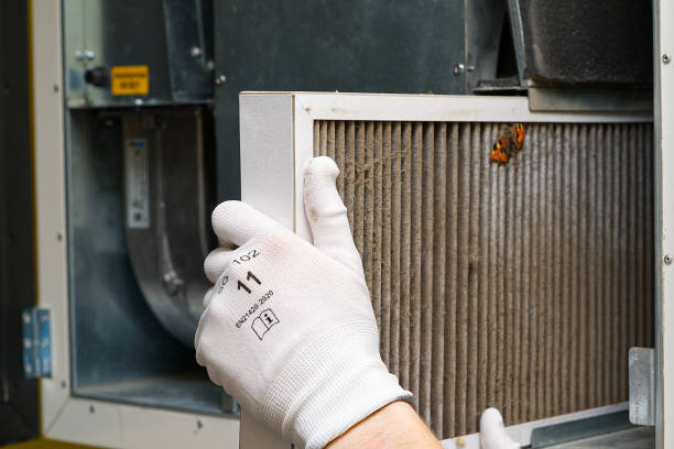 Best Best Air Duct Cleaning Company  in Petal, MS