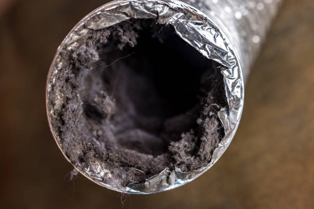 Best Residential Air Duct Cleaning  in Petal, MS